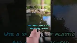 What lurks under this bridge?#ultralightfishing #redfin #perch #fishing Tips #trout #cod