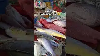 💥🐠 Chennai Fresh fish low price | Kasimedu fish market #fish #freshfish #shorts #trending #shorts