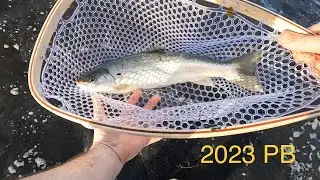 Ocean Dolly Varden fishing from the beach in Kodiak Alaska