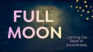 20 Minute Full Moon Meditation February 2026 | Let Go, Relax & Rest in Awareness