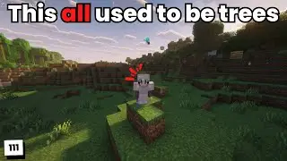 This all used to be trees - Calm Minecraft 111