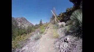 Ice House and Chapman Trail loop