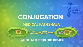  Conjugation in Bacterial Genetics | MBBS Microbiology Course | Medical Pathshala