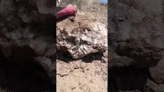 Massive Natural Quartz Discovery &mdash; Nature&rsquo;s Hidden Treasure! 🏔️✨#gemstone #rockhounding #mining