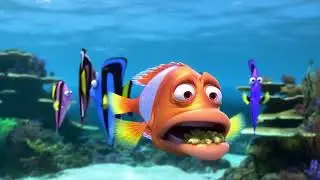 Fish Feeding Frenzy in Malaysia&rsquo;s Coral City | Vlog by Finny the Fish 🎥