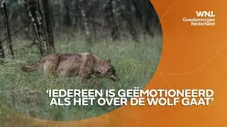 Lot van probleemwolf in handen van de rechter
