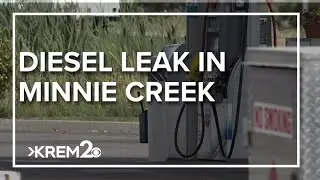 Department of Ecology found Cheney diesel spill coming from gas station