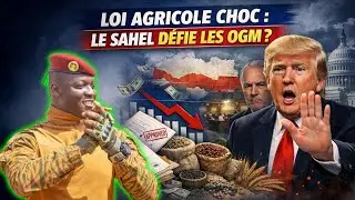 Ibrahim Traoré déclenche un choc : 4 OGM interdits, les États-Unis sous pression