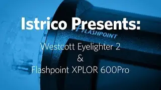 Gear Review: Westcott Eyelighter II