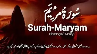 Surah Maryam | A Chapter of Miracles, Patience & Hope#peaceful Quran recitation 