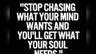 Dive in: QUOTES