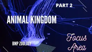 ANIMAL KINGDOM| PART 2| FOCUS AREA BASED| PLUS 1| BMP ZOOLOGY
