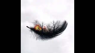 Ashes 