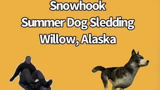 Awesome Snowhook Dog Sledding Adventure Slideshow On Yt!