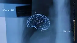 Dr Janet Bultitude explores why we feel pain differently