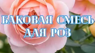 РОЗЫ. ОБРАБОТКА РОЗ. БАКОВОЙ СМЕСЬЮ. ПРОФЕССИОНАЛЬНЫЙ ПОДХОД.