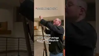 What's a theorbo? #baroque #theorbo #lute #chittarone #plucker