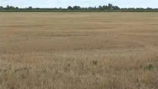 ZORAN LAMBETA ZZ 