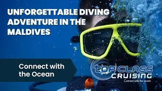Unforgettable Diving Adventure Aboard Sachika | Top Class Cruising in the Maldives