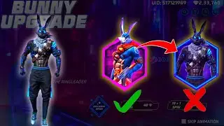 Upgrade Bunny bundle 😍