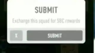 GERMANY WERNER POTM 89.  SBC.  PACYBITS 20