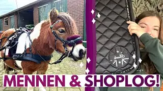 LUNA STAAT EINDELIJK WEER VOOR DE SULKY! 😍😍 || Equi Kirsten || Vlog #165