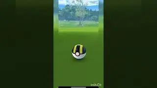 Shiny Bewear ✨ in Pok&eacute;mon GO! #CommunityDay (#shorts)