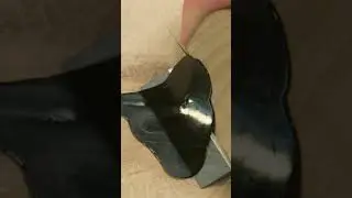 Astl&ouml;cher kitten