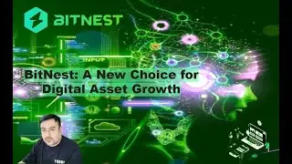 Explanation on BitNest project return rate, team legitimacy, and project legitimacy