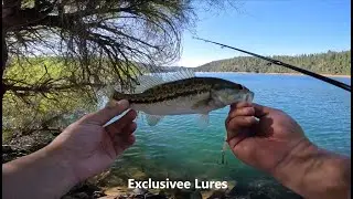 Bass fishing at Bullards Bar