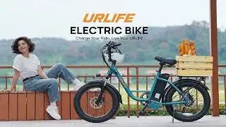 URLIFE E20 Electric Bike 250W 48V 13Ah 25km h Black Best Price Offer