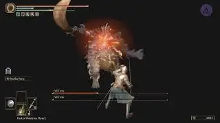 Elden Ring: Fell Twins (Hitless, Parry)