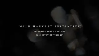 The Wild Harvest Initiative