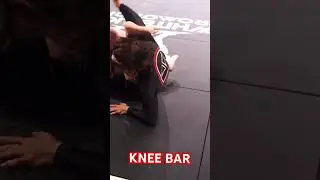 WLP : Jiujitsu submission &ldquo; Knee bar &ldquo;  #grappling #jiujitsu #kneebar #whitelionpromotions