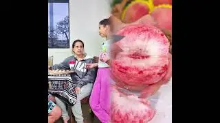 🤣👌👌👌2025 pov Must-Watch Crazy Clips Compilation #humor #fypシ #pov #fyp #foryou 😍😜
