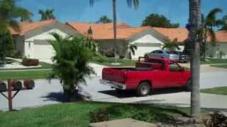 Two ARECA PALMS as a PRIVACY FENCE 5/ 27/ 17