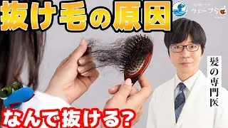 【女性も必見】抜け毛がひどい！？抜け毛の原因が分かるフローチャートを髪の専門医が解説！