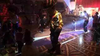 Woody Dance Party 2012