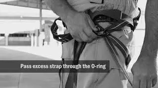 Apache Class II Harness (Product Overview) by Fire Innovations