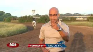 Seeking My Dream wins Jamaica's rich Diamond Mile & More! | At The Track | Dec 15, 2016