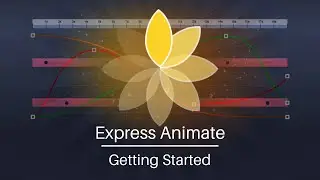 Getting Started with Express Animate