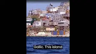Diomede Island #shortvideo