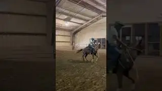 #mexico #horse #usa #caballos #reining #reinda #charros #vaquero #cowboys #viralshorts #parati #fyp