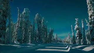 &Oacute;lafur Arnalds - Hands, be still (Arta Edit)
