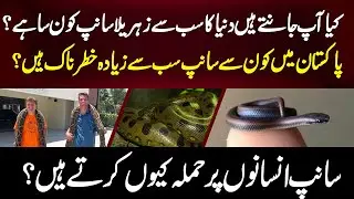 World Snake Day 2024: Awareness and Facts about Snakes