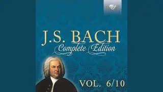 In allen meinen Taten, BWV 97: IV. Aria. Ich traue seiner Gnaden (Tenore)