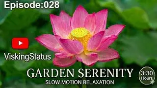 Welcome to Episode 028 of the Relax series.  3:30 hour journey to be the antidote. 