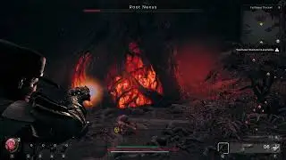 Remnant 2 - Faithless Thicket 9 - Root Nexus Boss