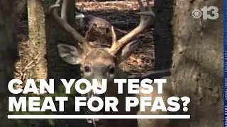 Is there a way to test harvested meat for PFAS?