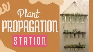 Plant propagation station | Hanging propagation station | EVEAGE unboxing & Setup | MOODY BLOOM